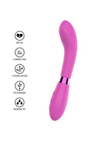 Jingle Fiesta Vibrator