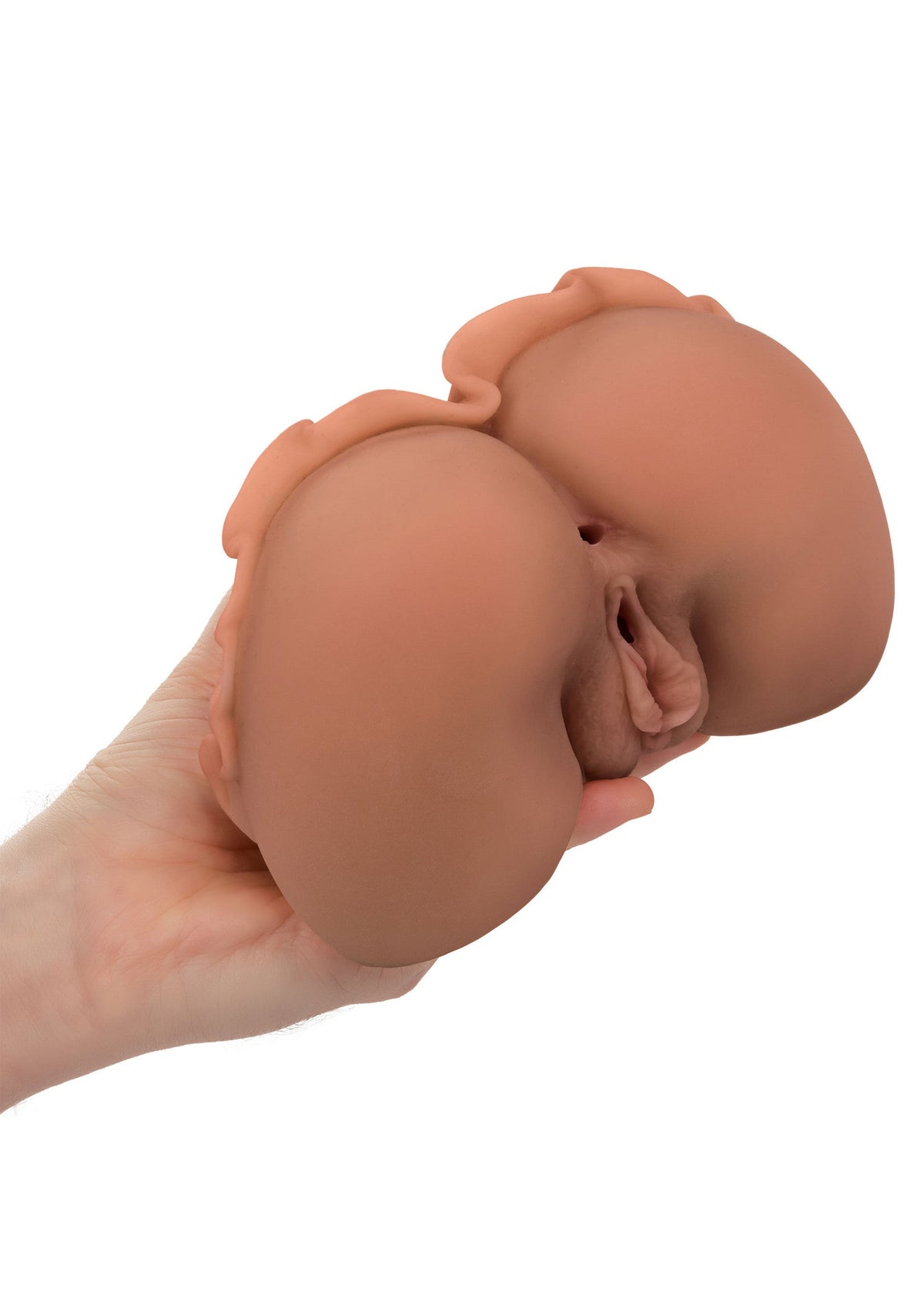 The Homecoming Queen - Erolure